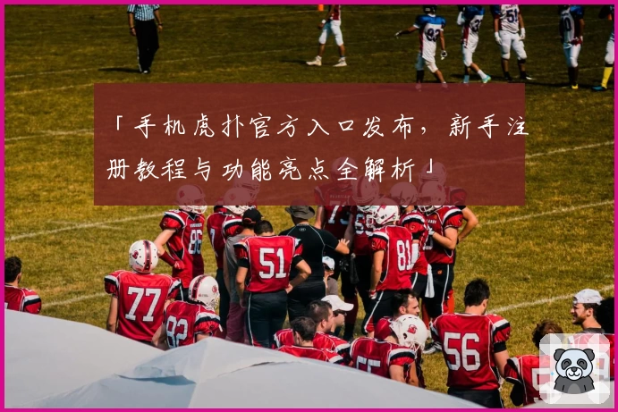 「手机虎扑官方入口发布，新手注册教程与功能亮点全解析」